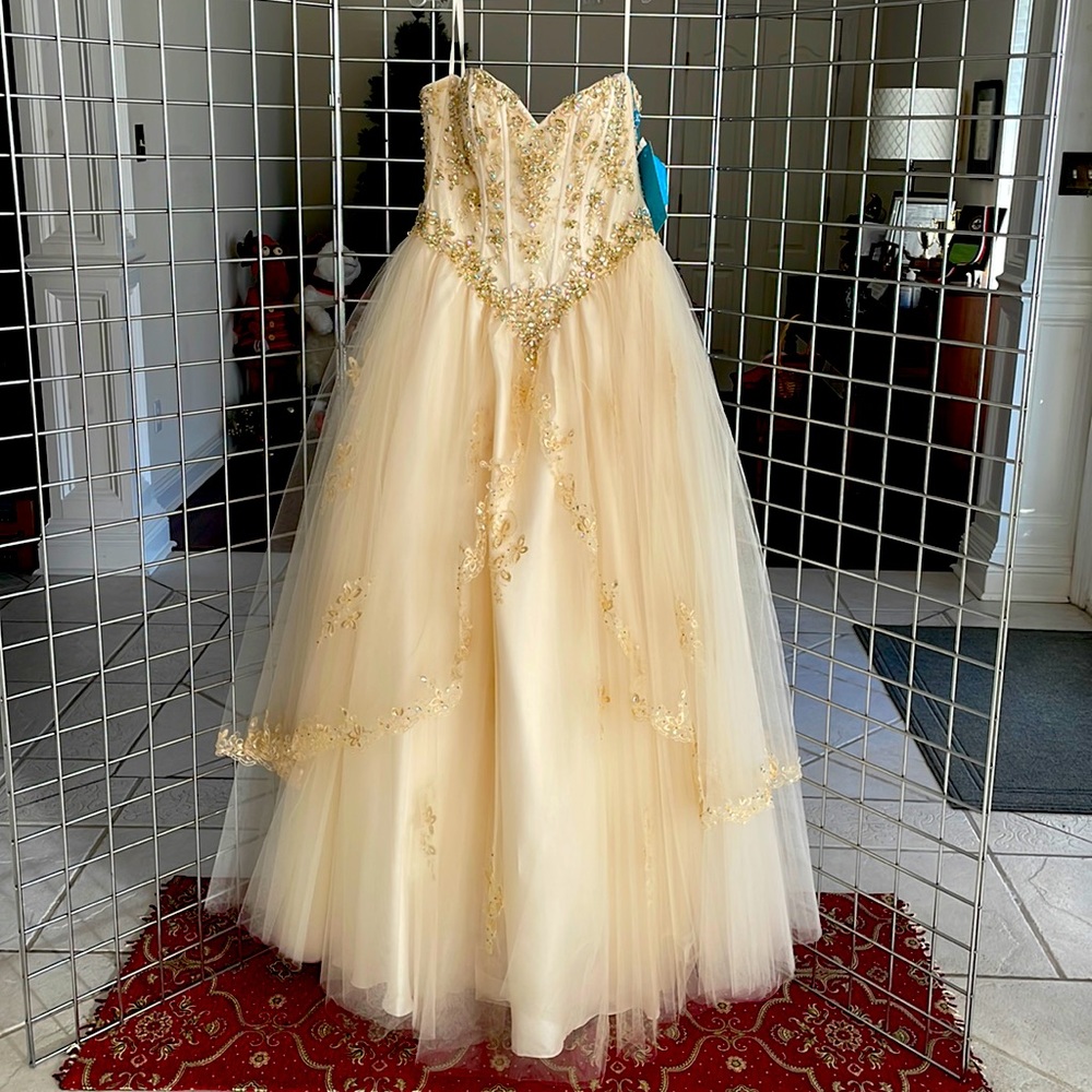 Prom/Wedding Gown
